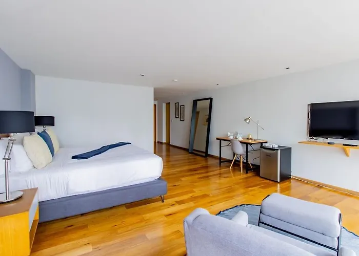 Apartment Capitalia Opulent Loft Chic Sleek Design Mexico City